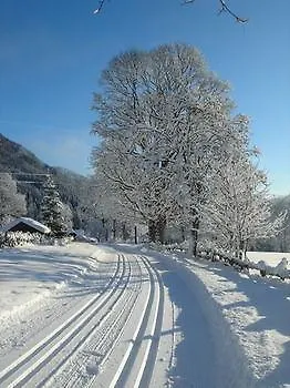 Dachsteinhof Guest house Ramsau am Dachstein